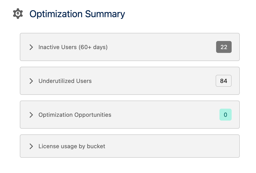 Optimizer summary